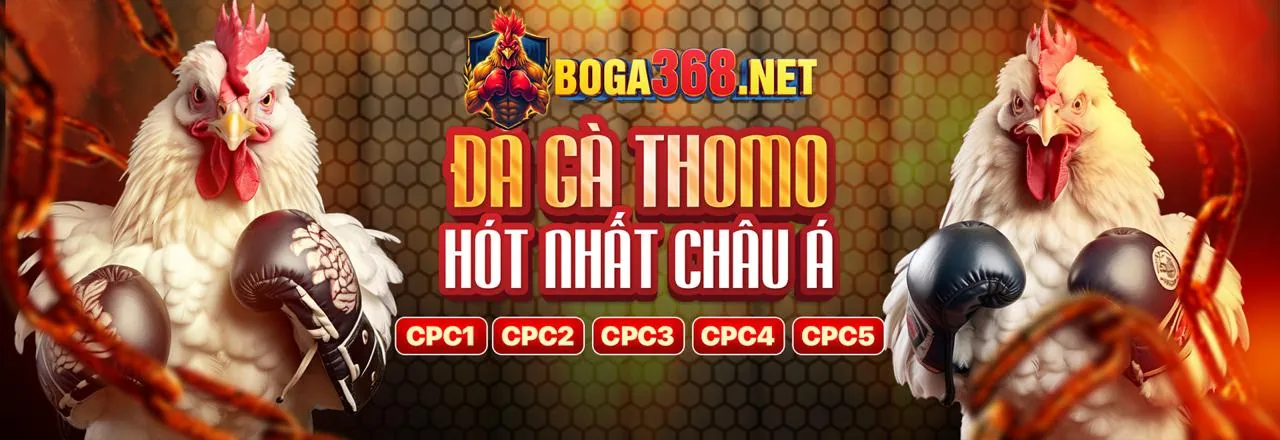 Tổng quan nền tảng 88j